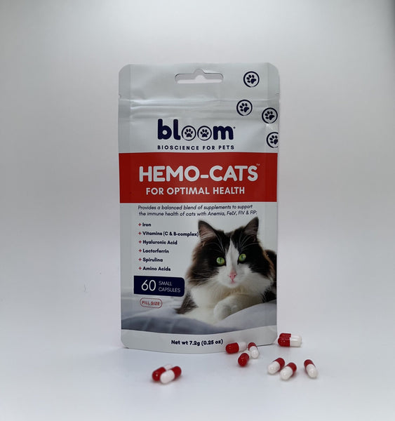 Cat anemia supplements best sale