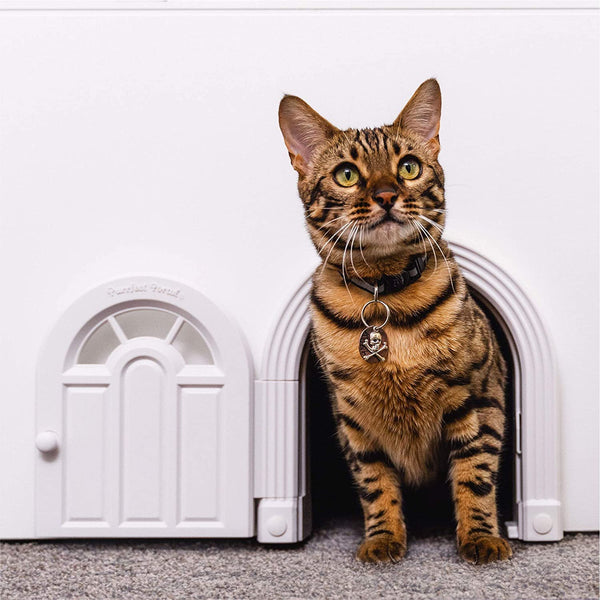 Cat's Meow Interior & Exterior Paint