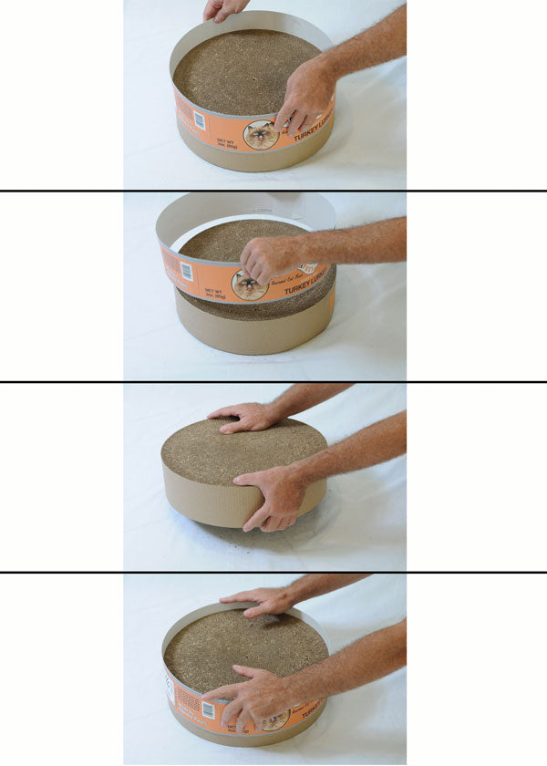 Scratch Pad Foraging The Endless Buffet Scratch Pad – ZenByCat
