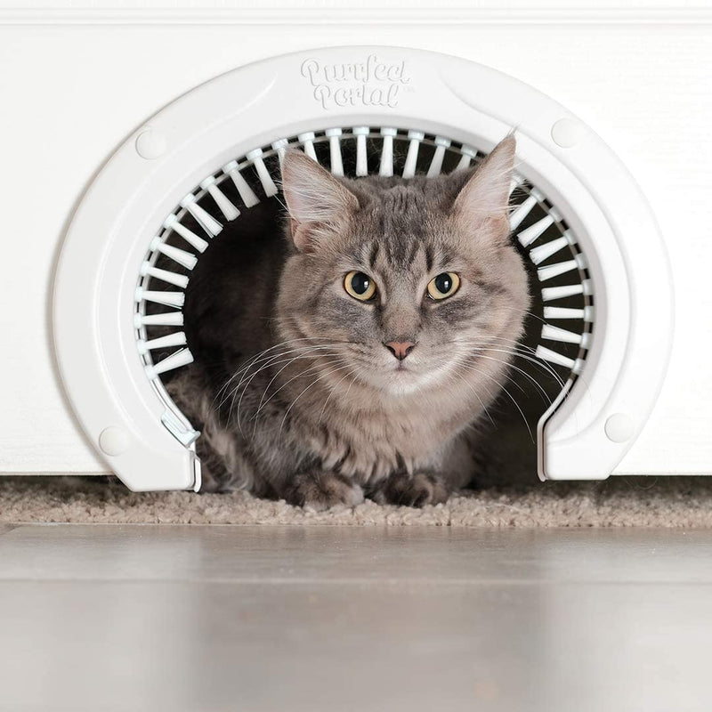 Purrfect portal cat door hotsell