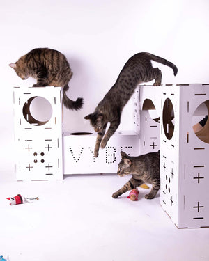 Vybe Cats: THE CAT CASTLE