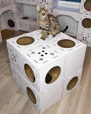 Vybe Cats: THE CHONK PALACE