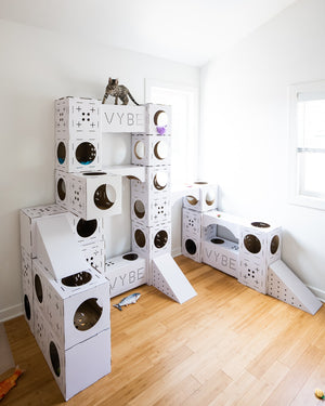 Vybe Cats: BYO CAT CASTLE