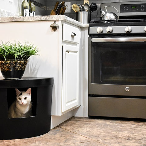 Kitangle Modern Cat Litter Box Corner Kitty ZenByCat