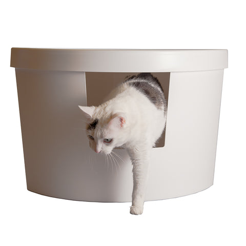 Corner kitty 2024 modern litter box
