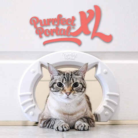purrfect-portal-